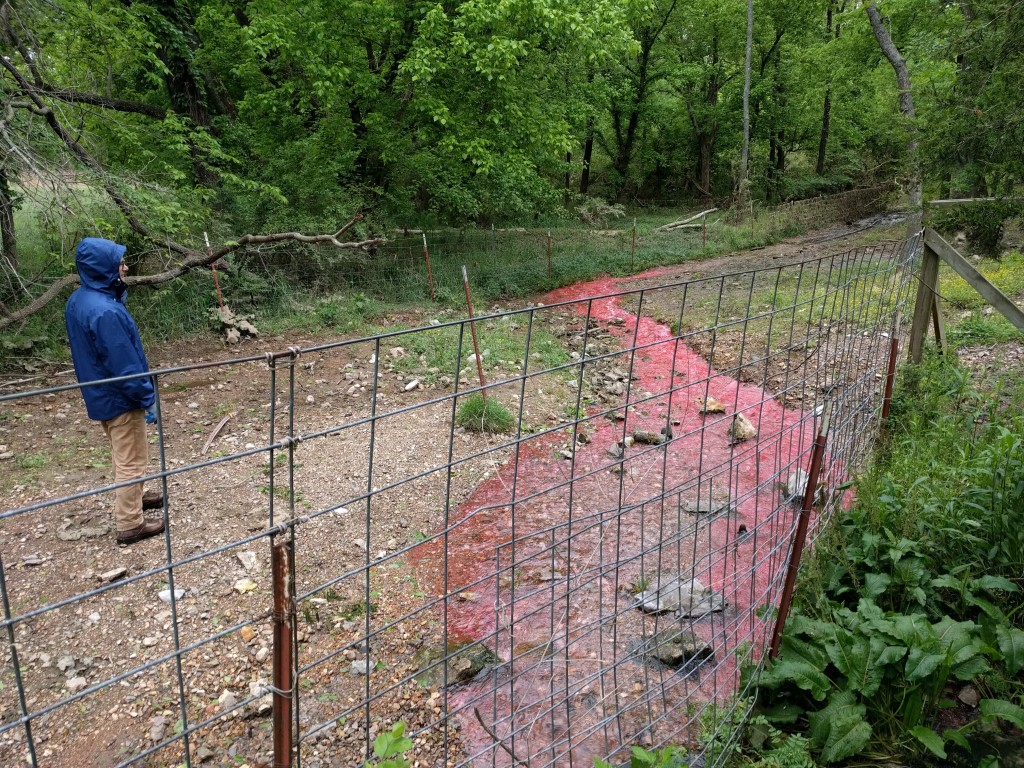 Dye in a spring run where we were testing the measurement procedure.