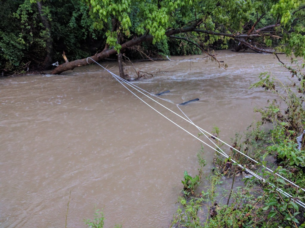 Field fluorometers deployed in stream.