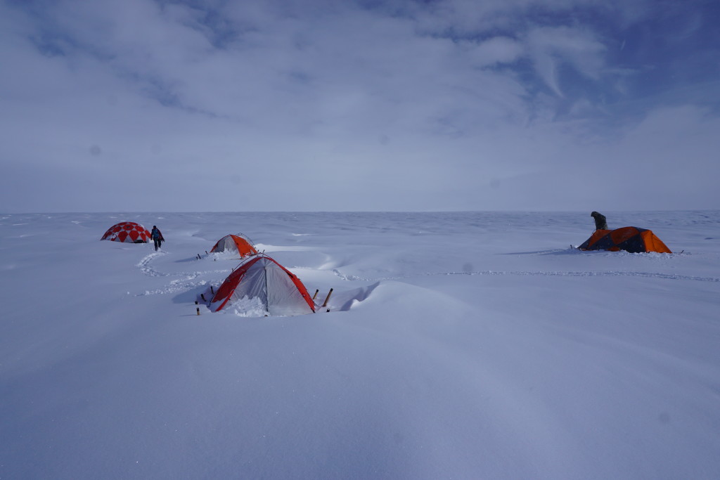 We awoke to 30 cm of freshly fallen snow on our first morning in camp.